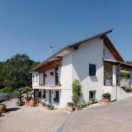 Ferri E Zani Cavatore