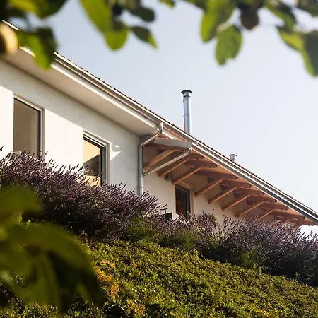 Pensjonat Ferri E Zani 4*