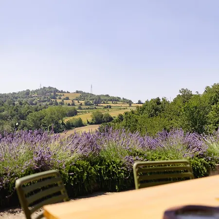 Ferri E Zani 4* Cavatore