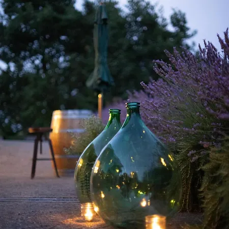 Ferri E Zani Pensionat 4*