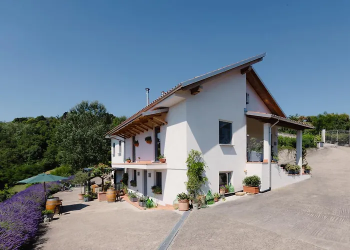 Ferri E Zani Cavatore