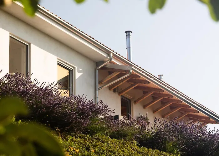 Gæstehus Ferri E Zani 4*