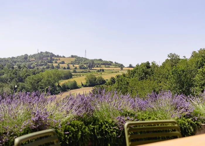 Ferri E Zani 4* Cavatore